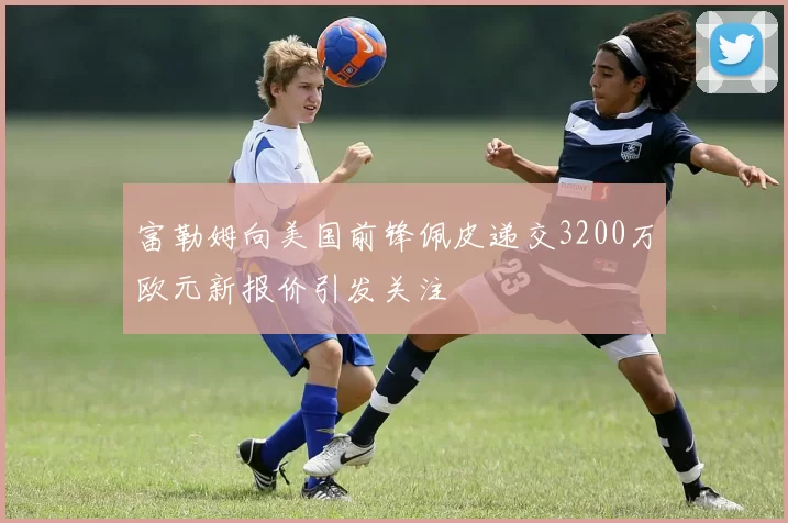 富勒姆向美国前锋佩皮递交3200万欧元新报价引发关注